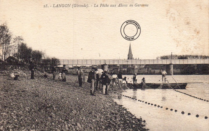 Langon La peche aux aloses en Garonne