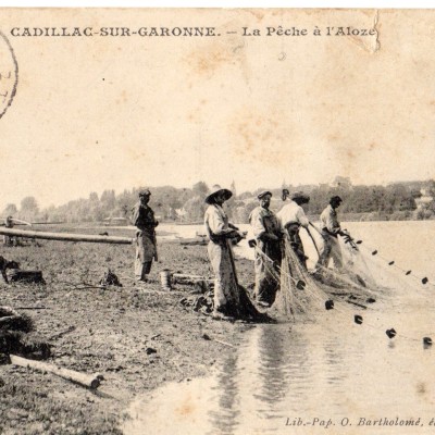 cadillac peche alose