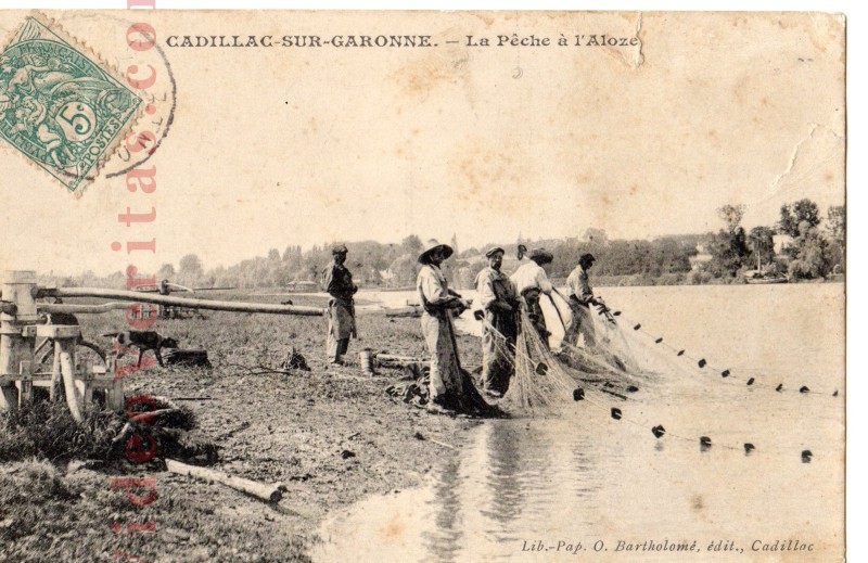 cadillac peche alose