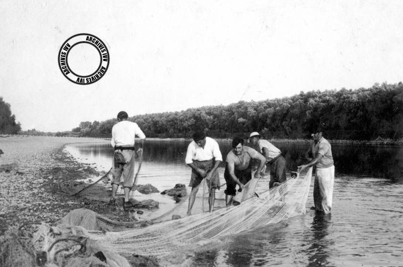 La pêche de l'alose aux Arrocs