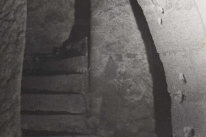 tn SEMMACARI n  2  p 08 1 photo 3