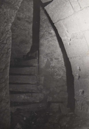 tn SEMMACARI n  2  p 08 1 photo 3