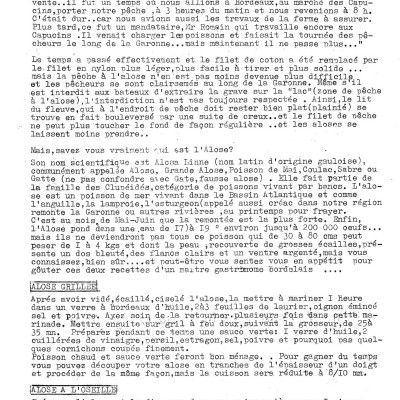 tn  SEMMACARI n  7 Page 19