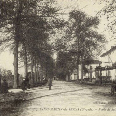 st martin de sescas