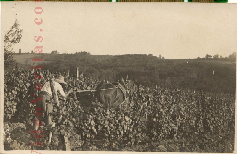 caudrot les vignes