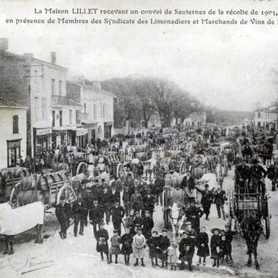 Podensac recolte de sauternes 1903