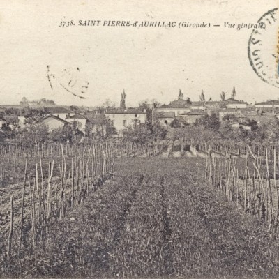 St Pierre vue generale