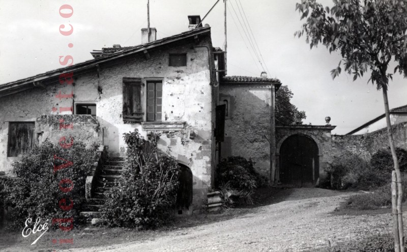 merrigon