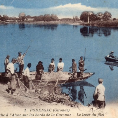 podensac la peche    l alose
