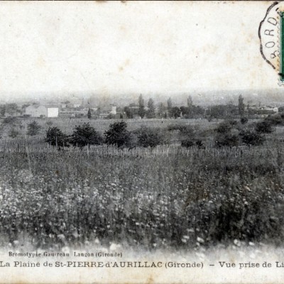 vue du livey