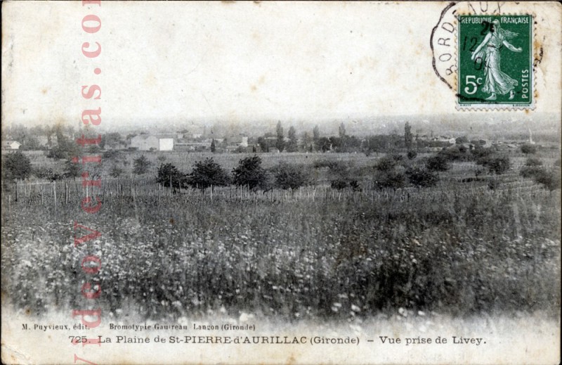 vue du livey