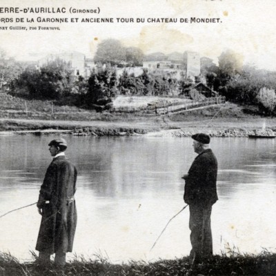 10  7881  st pierre d aurillac  gironde  les bords de la garonne et ancienne tour du chateau de mondiet