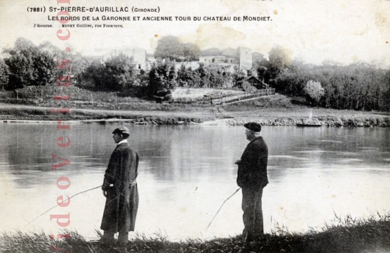 10  7881  st pierre d aurillac  gironde  les bords de la garonne et ancienne tour du chateau de mondiet