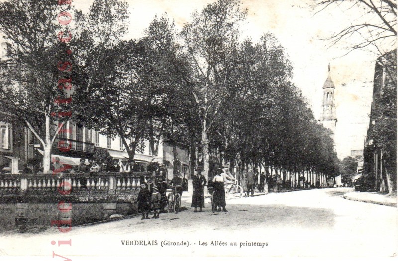 verdelais les allees au printemps