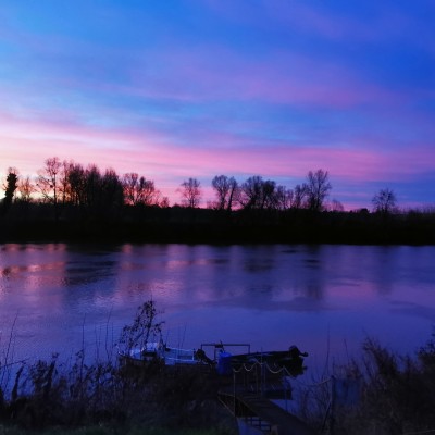 2022 img 20220104