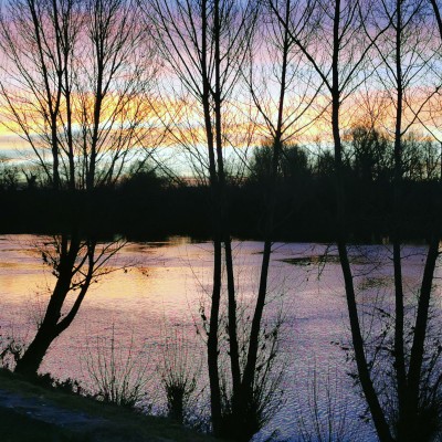 2022 img 20220104