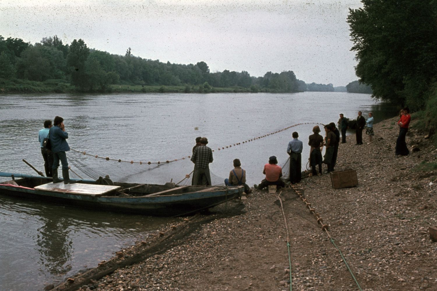 LA PÊCHE DE L' ALOSE à LANGON EN 1975