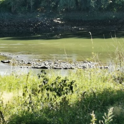 img 20220922