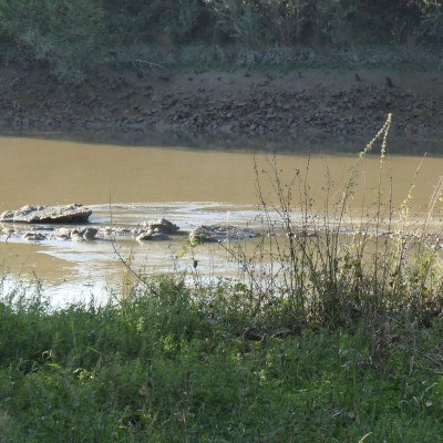 p1000024