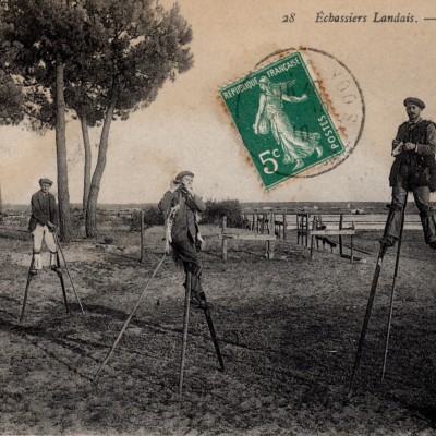 28 echassiers landais
