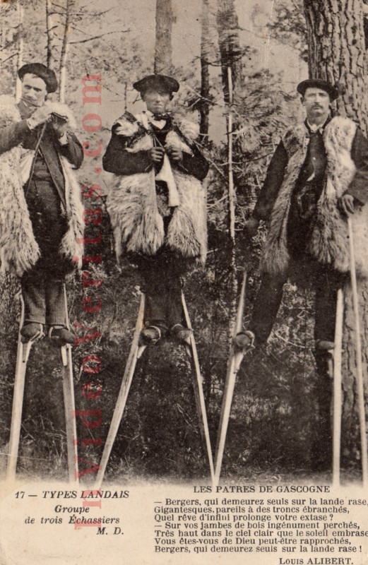 types landais groupe de trois echassiers
