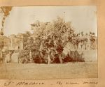 saint macaire ses vieux murs