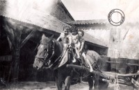 14 le cheval du tonton