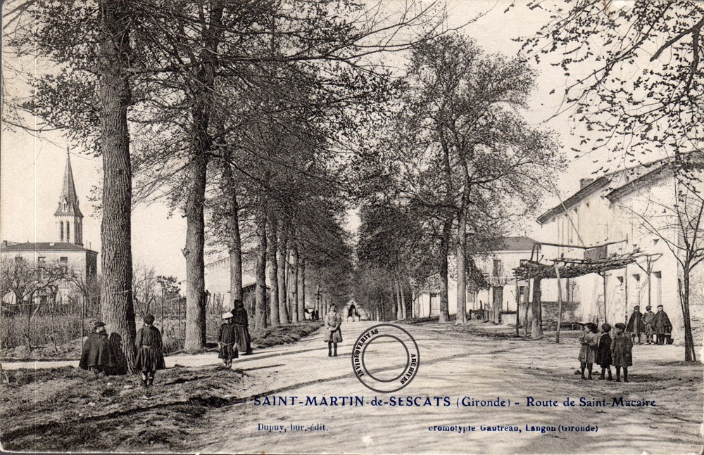 Saint Martin de Sescas