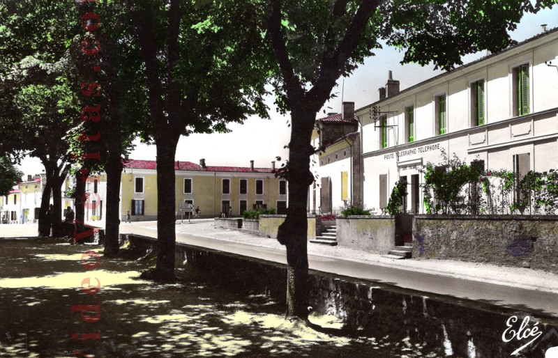 CPA St Macaire All  es des Tilleuls 1