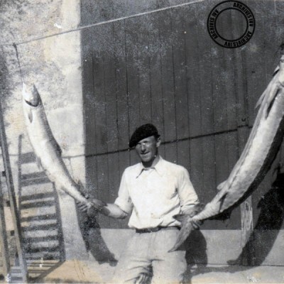 06 saumon et esturgeon 01 coll baritaut coll hilaire