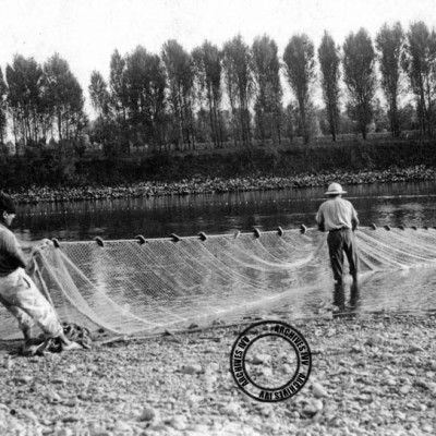 peche alose 6