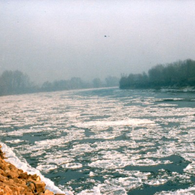 13 garonne gelee
