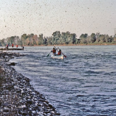 canoe