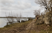 chemin du port 
