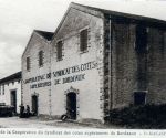 2008 11 la cooperative