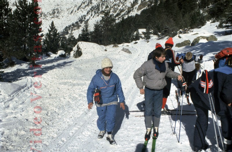 ski