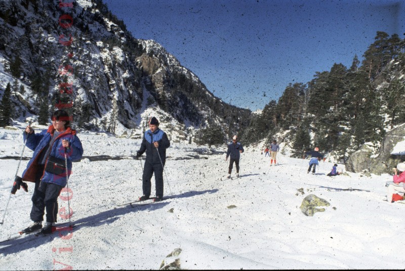 ski