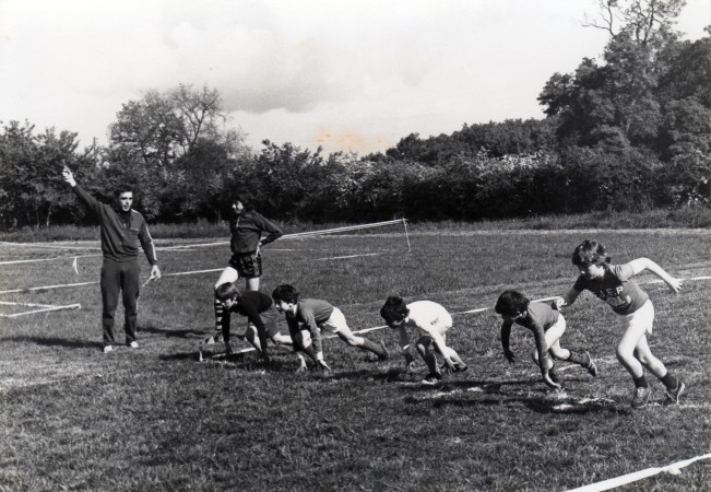 sport plateau scolaire nb