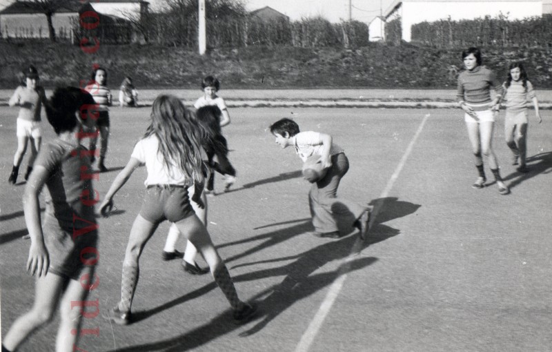 sport plateau scolaire nb